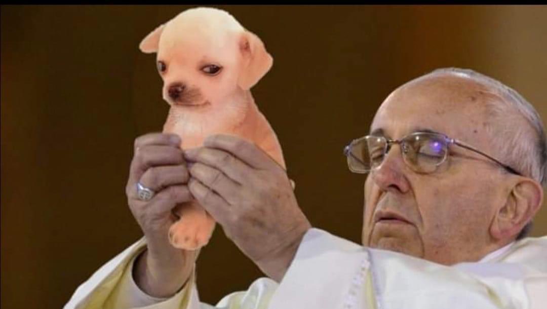 kesiperrito's tweet photo. https://t.co/HMnuAamAOS
