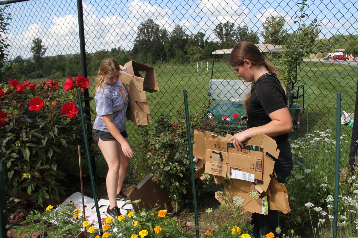 Wheeling University tweet media