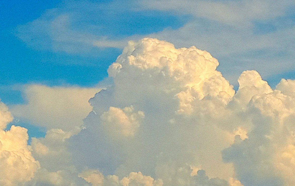 Ogni tanto, quasi per caso, una bellissima giornata. Come una specie di complotto benevolo. Un accordarsi di infiniti e infinitesimali eventi e accidenti. Con lei a fare da direttore d'orchestra. Il cuore in me, il corpo in lei e la testa in su, tra le nuvole.