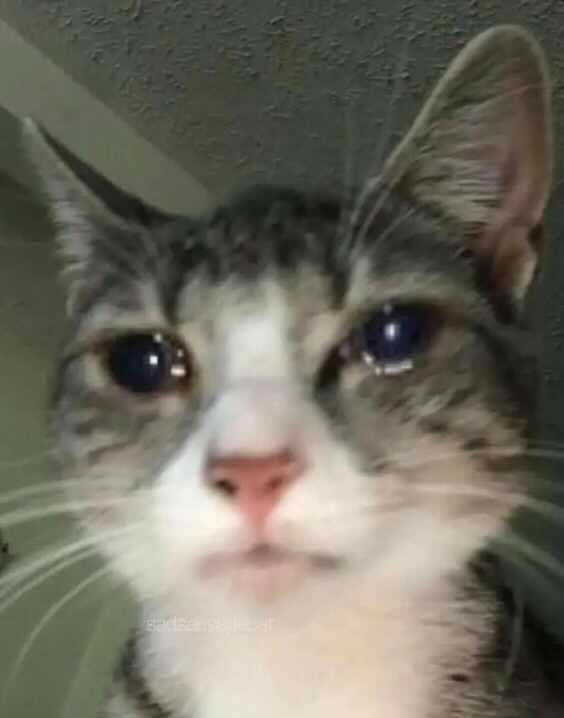 Evil Geniuses tweet media