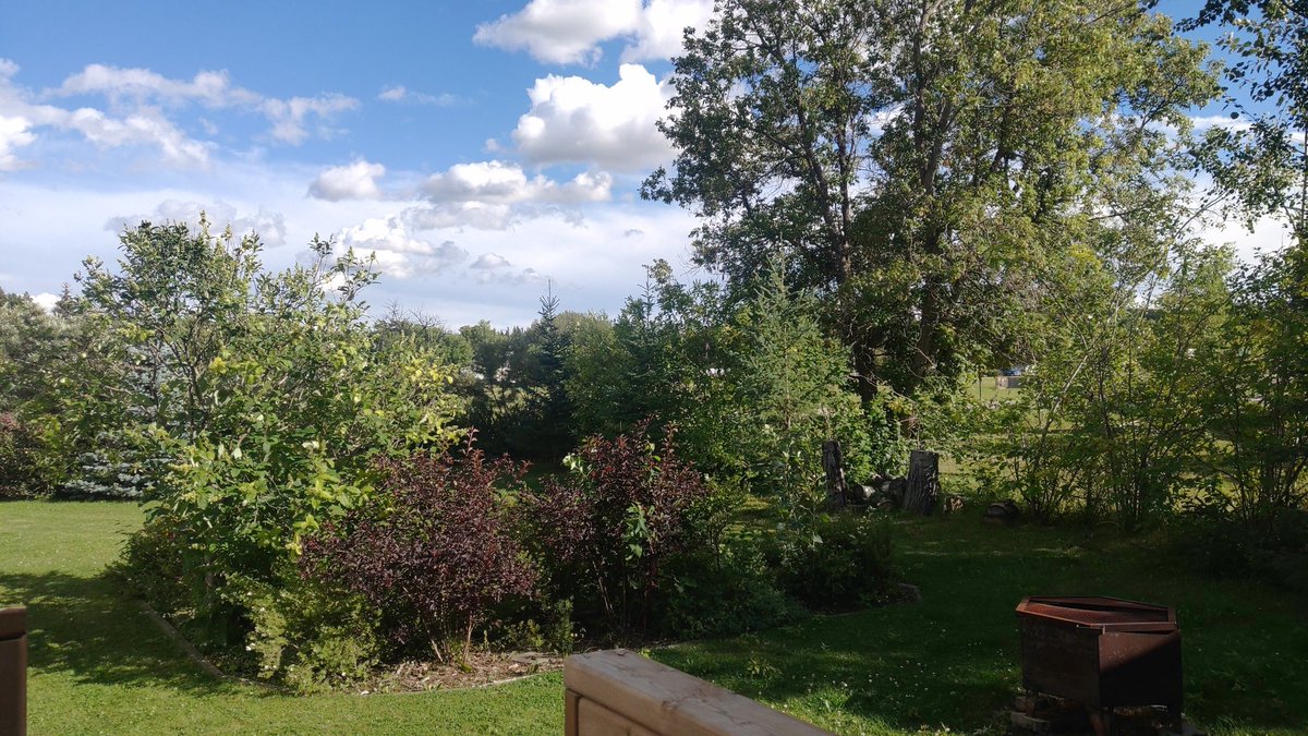 SwizzlerzLive's tweet photo. @MikeHudema @chipster70 Or all you city dwellers could stop living in the city move to the country where you could just have your own forest in your yard https://t.co/MEn76arU6I