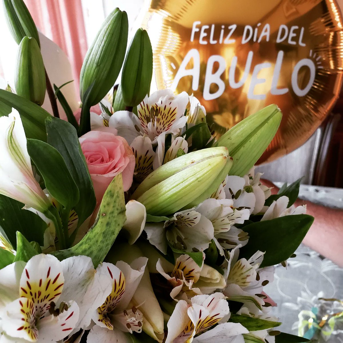 lozanohector's tweet photo. #AmorYPaz
#HeyHeyHeyRiseUp
#DulceHuéspedDelAlma
"La #tradición es la ilusión de la permanencia"
… es la herencia que nos dejaron nuestros antepasados
… es el ejemplo, y lo disfrutamos al máximo
#FelizDíaDeLosAbuelos
#AdaptArte
#InspirArte
#EnLaVidaYEnLaCancha
#AbrazoDeGol https://t.co/WDDBcmWAaU