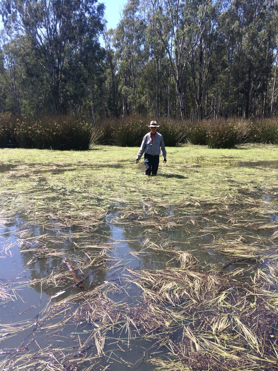 Dr Katherine Woo (@archaeo_woo) on Twitter photo Come join us this Friday at the <a href="/cabahCoE/">CABAH</a> /TARL seminar where Colin Pardoe will tell us how archaeological settlement patterns can be used to inform land and water conservation practices in the Murray Darling Basin! More info here: jcu.edu.au/tarl/seminars
#Archaeology <a href="/jcuCASE/">JCU College of Arts, Society and Education</a> Come join us this Friday at the <a href="/cabahCoE/">CABAH</a> /TARL seminar where Colin Pardoe will tell us how archaeological settlement patterns can be used to inform land and water conservation practices in the Murray Darling Basin! More info here: jcu.edu.au/tarl/seminars
#Archaeology <a href="/jcuCASE/">JCU College of Arts, Society and Education</a>