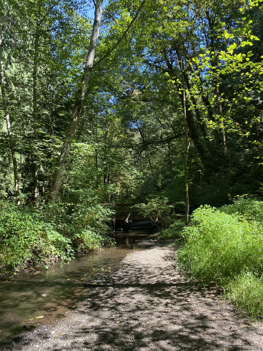 Pleasant late-summer day