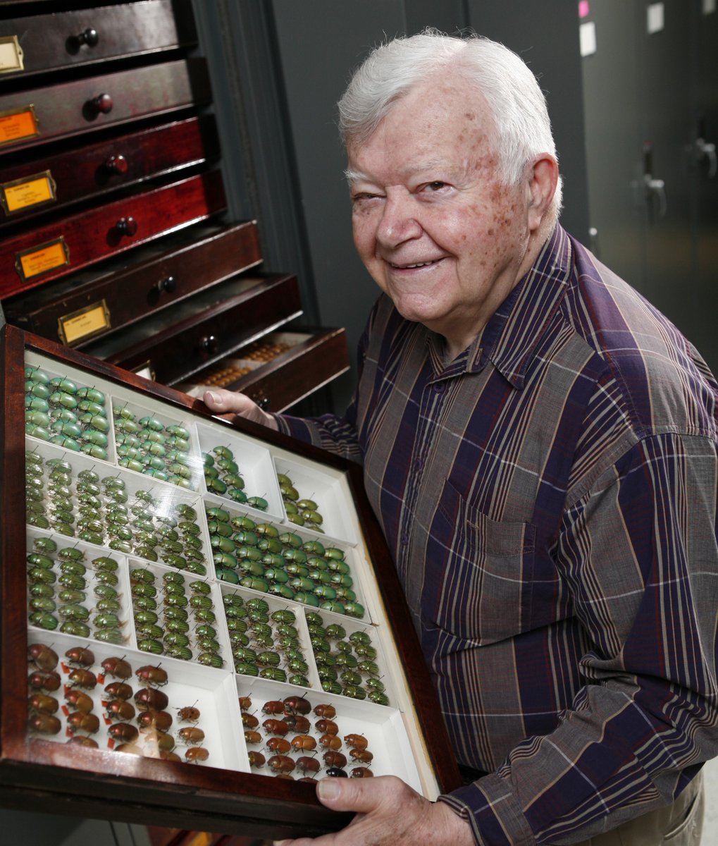 Triplehorn Insect Collection (@osucatosu) on Twitter photo It's with sadness that we share the news of the passing of Dr. Charles A. Triplehorn on Thursday, August 25.
Memorial service: Thr, 9/1, 4PM. Obituary & link to live-stream of the service here:
dignitymemorial.com/obituaries/dub…
<a href="/EntsocAmerica/">Entomological Society of America</a> <a href="/SysEB_Entsoc/">SysEB ESA</a> @ColeopSoc <a href="/EntCollNet/">Entomological Collections Network</a> It's with sadness that we share the news of the passing of Dr. Charles A. Triplehorn on Thursday, August 25.
Memorial service: Thr, 9/1, 4PM. Obituary & link to live-stream of the service here:
dignitymemorial.com/obituaries/dub…
<a href="/EntsocAmerica/">Entomological Society of America</a> <a href="/SysEB_Entsoc/">SysEB ESA</a> @ColeopSoc <a href="/EntCollNet/">Entomological Collections Network</a>