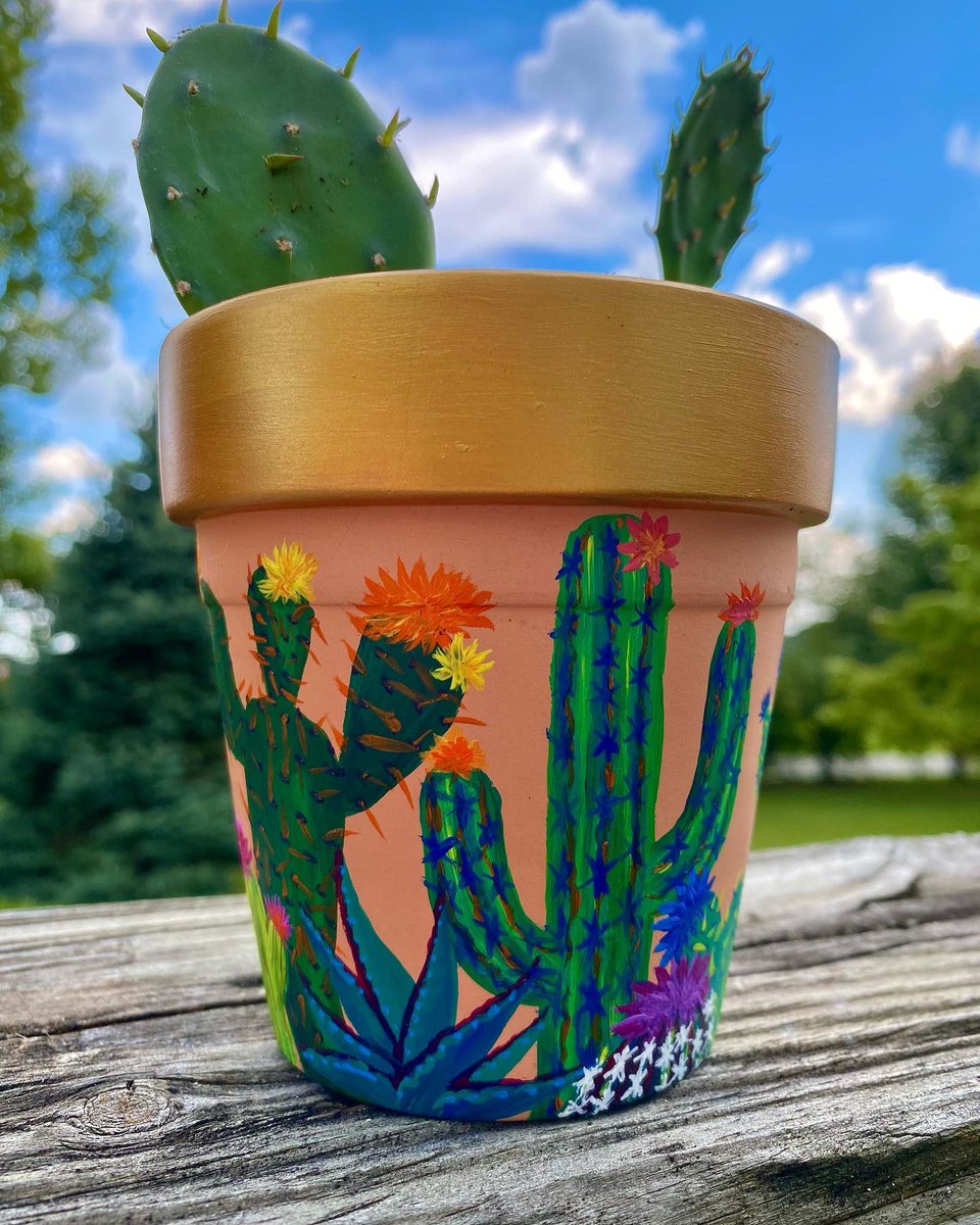 AlikaAnderson's tweet photo. 🏜🔆🌵Cactus pot🌵🔆🏜
#art https://t.co/i89FZunZrO