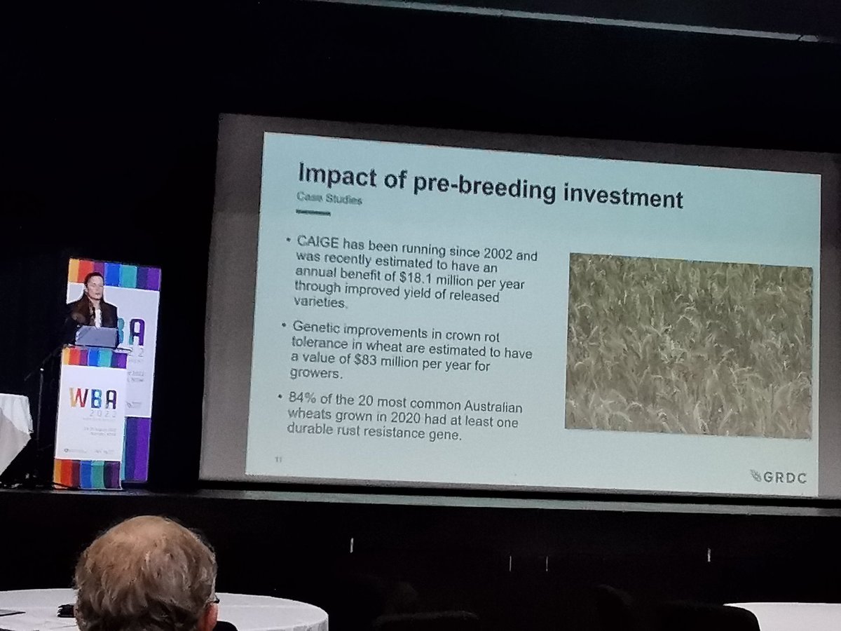 #WBA2022 kicking off! <a href="/theGRDC/">GRDC</a> Nicole Jensen described the importance of crown rot disease of wheat in Australia.