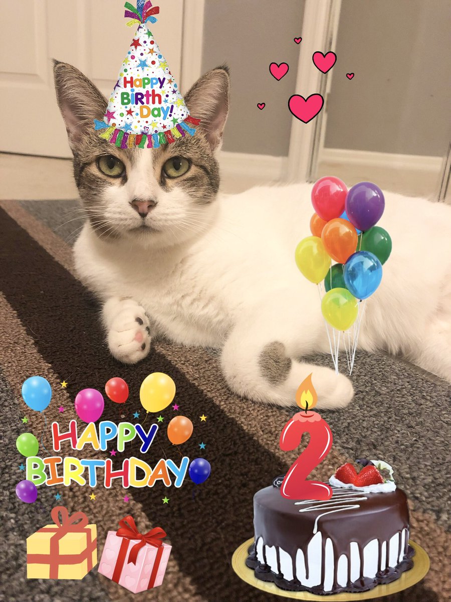 Little Emmee tweet media