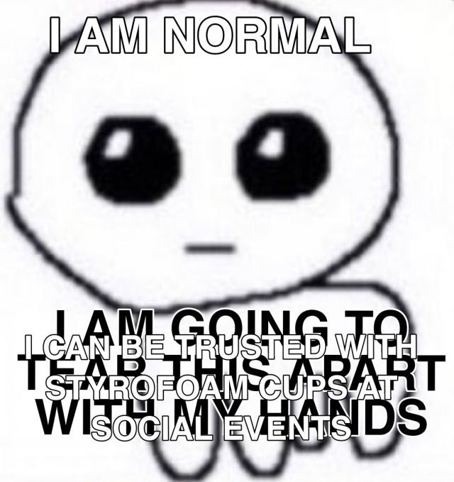 briiiiiiii tweet media