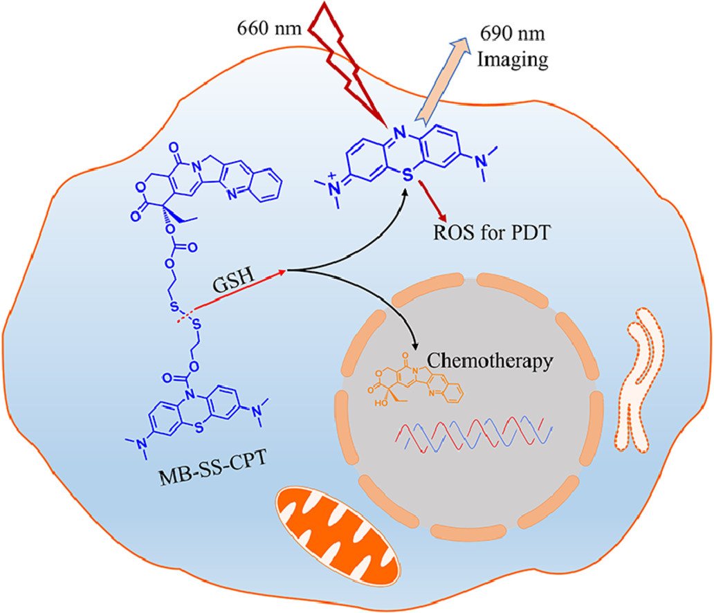 Chinese Chemical Letters (@chinchemlett) on Twitter photo GSH responsive traditional clinical drugs probe for cancer cell fluorescence imaging and therapy
<a href="/ELSchemistry/">Elsevier Chemistry</a> <a href="/Dx_imaging/">Diagnostic Imaging</a> <a href="/isciverse/">Top Science</a> @CHNSci <a href="/ChinaScience/">China Science</a>
doi.org/10.1016/j.ccle… GSH responsive traditional clinical drugs probe for cancer cell fluorescence imaging and therapy
<a href="/ELSchemistry/">Elsevier Chemistry</a> <a href="/Dx_imaging/">Diagnostic Imaging</a> <a href="/isciverse/">Top Science</a> @CHNSci <a href="/ChinaScience/">China Science</a>
doi.org/10.1016/j.ccle…