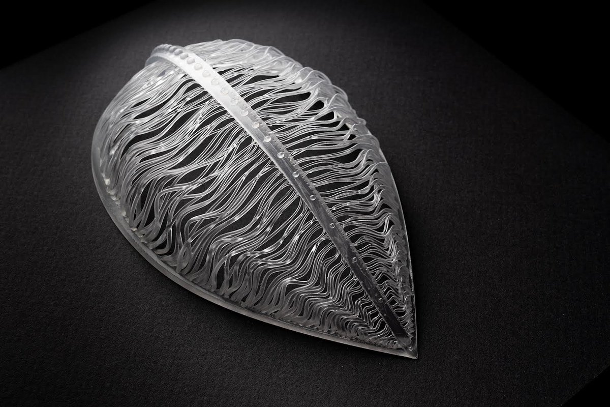 mary_franck's tweet photo. Very pleased to announce my debut solo show Specimens, opening Sept 15 at EV Gallery, NYC

https://t.co/ZJHZGtpmZR https://t.co/mlYYswEKmy