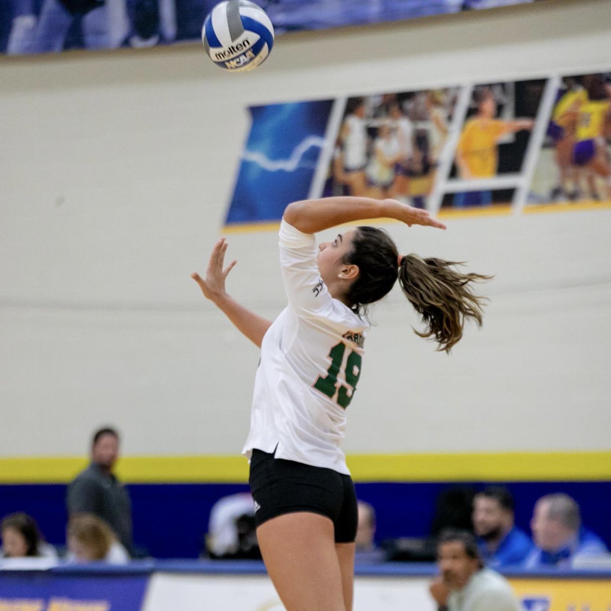 Miami Hurricanes Volleyball tweet media