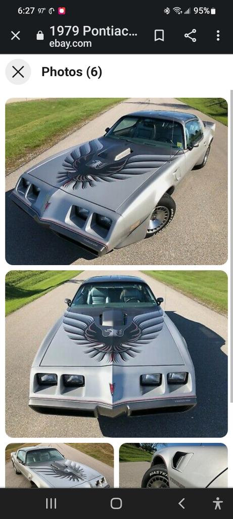 flwrgrdnr's tweet photo. @CryptoSavy1 Dayum! Makes me miss my '79 TA. Really wish I had not sold that in my twenties LOL https://t.co/3E4p9sQ0bc