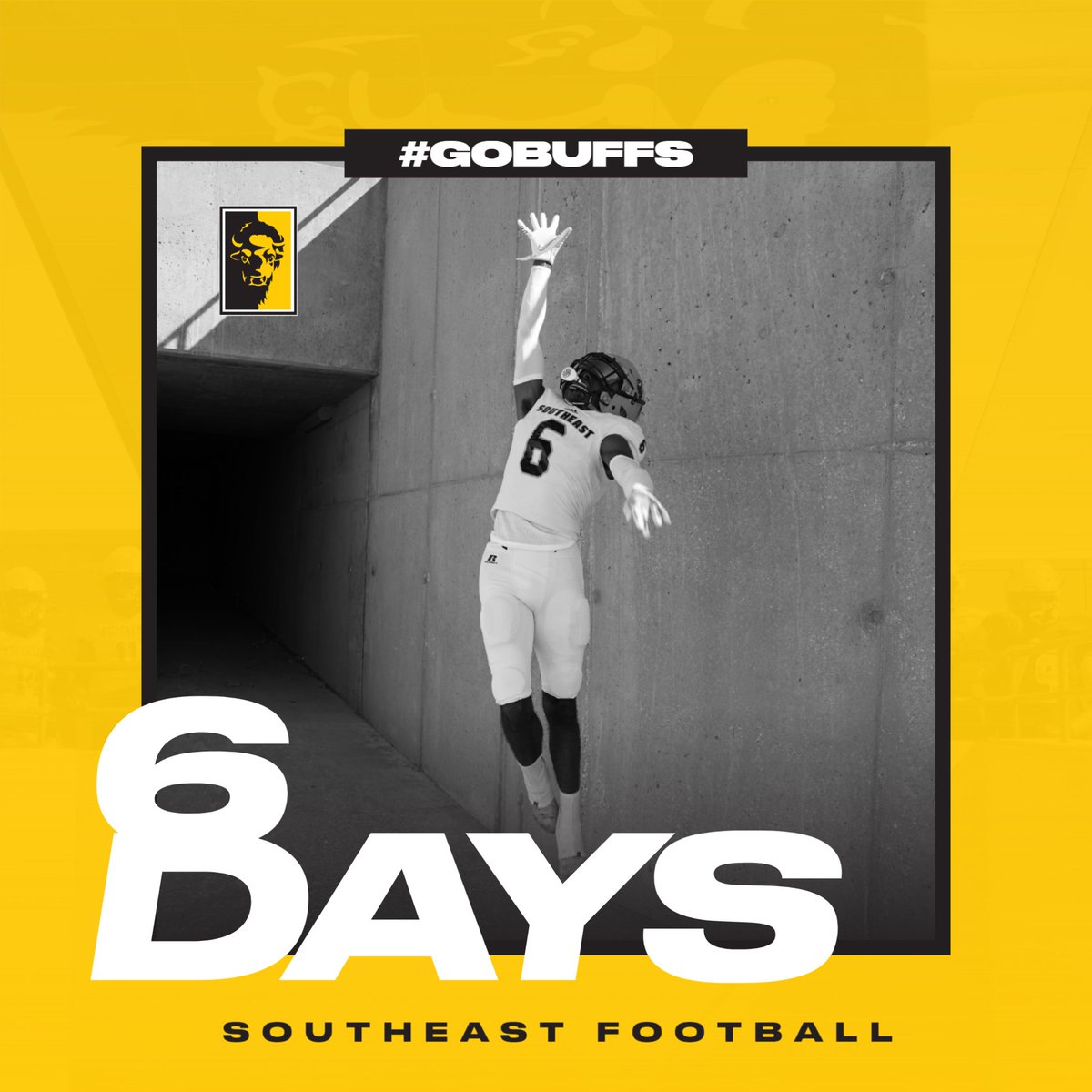 WSE Athletics tweet media