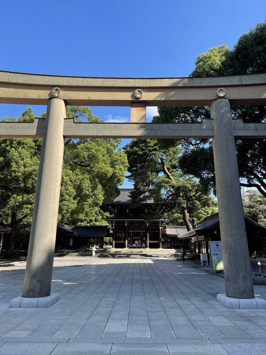 清々しい朝です。明治神宮の朝詣です。

＃MeijiShrine