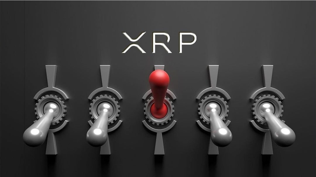 xrpnews.crypto® ⚡️🐺 tweet media
