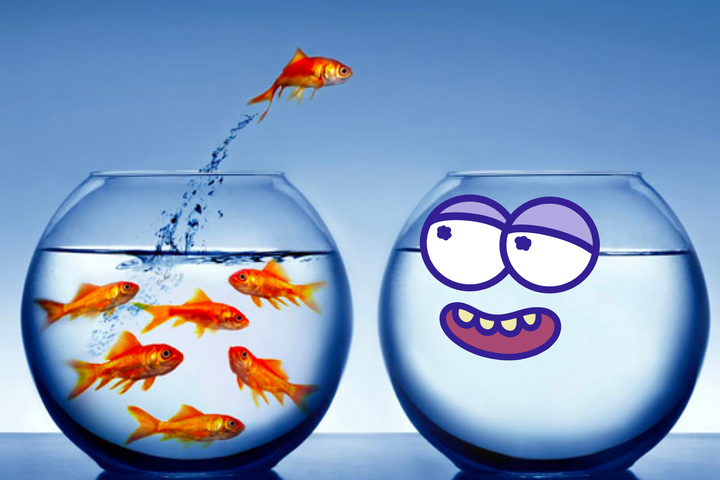 BowlsNft's tweet photo. Fish will grow based on the size of their tank 🐠🐟

Don't follow the crowd, find your own bowl 💯 https://t.co/JIjrFcP30C