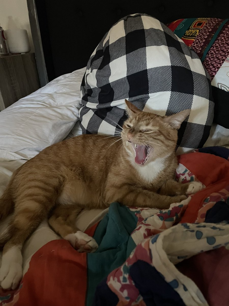 it is mine birthday! i celebrated with my favorite activity — a scream into the abyss 🥳🎉