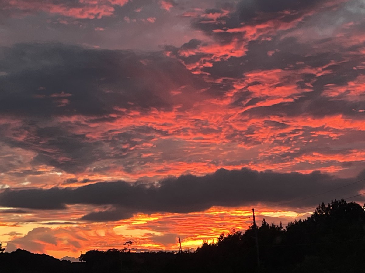 jogreene404's tweet photo. ⁦@Live5News⁩ Beautiful Carolina Sunset! https://t.co/PfBJWFsZ4M