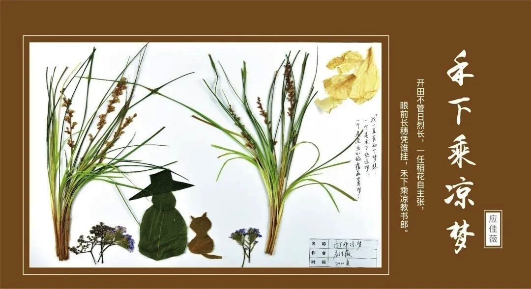 ZJU_China's tweet image. In "Campus Plant Identification and Herbarium", students stroll around the campus with Prof. HUANG Aijun and Prof. JIANG Jinhuo, the translators of plants to learn about the friends from nature by making specimen and patchwork. 

Photo: 浙大官微
#zju #campuslife #electivecourse