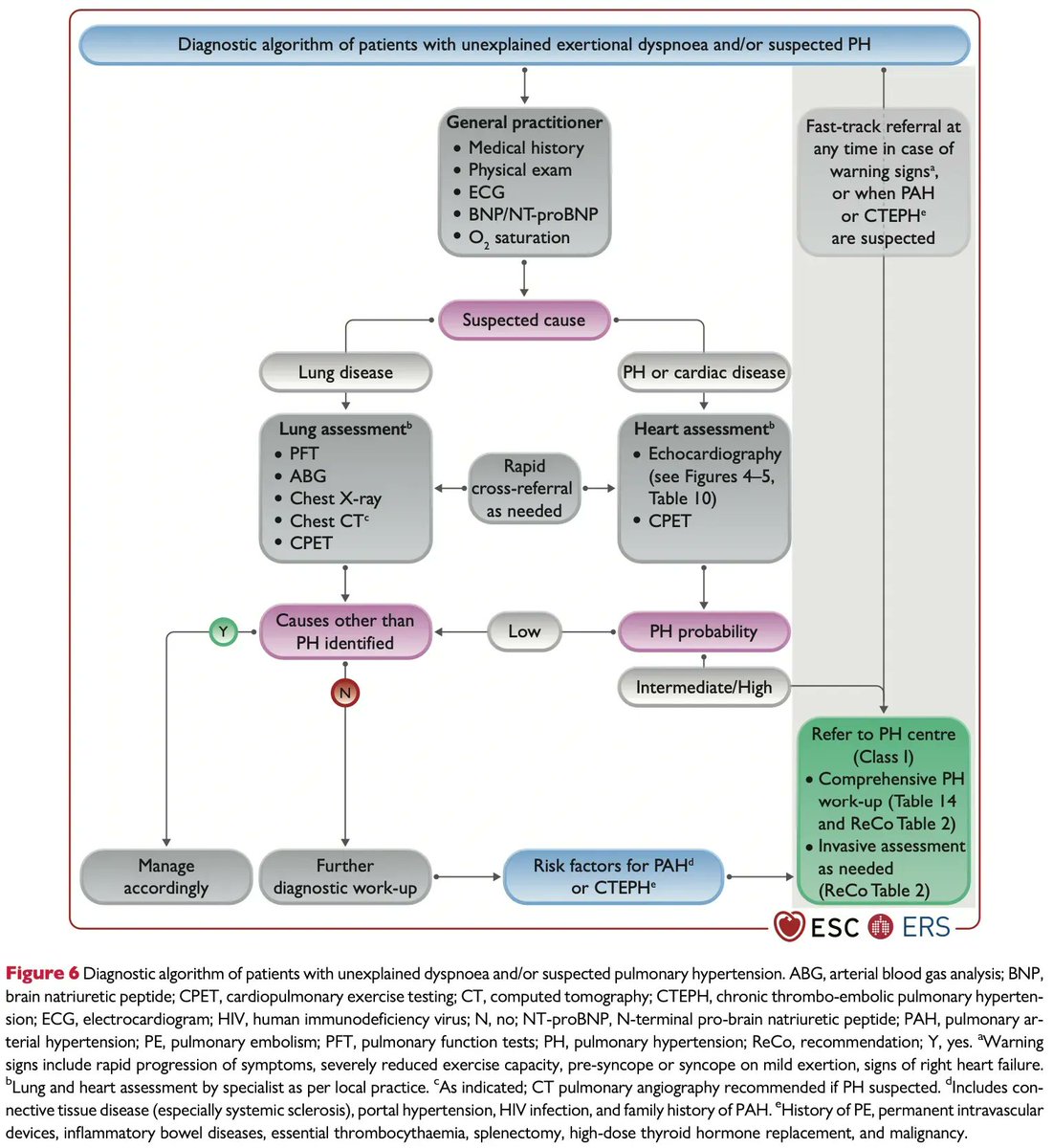 MedClubPage's tweet photo. #Neumología #Cardiología
Algoritmo diagnóstico en pacientes con disnea inexplicable y/o sospecha de hipertensión arterial pulmonar. 
Eur Heart J. 2022;ehac237. doi:10.1093/eurheartj/ehac237 https://t.co/OlEn45PyXq