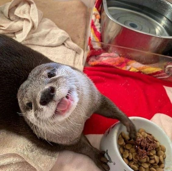 😛