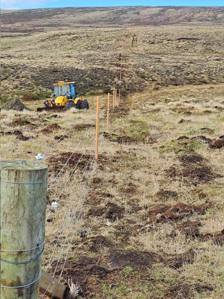 Hew Grierson tweet media