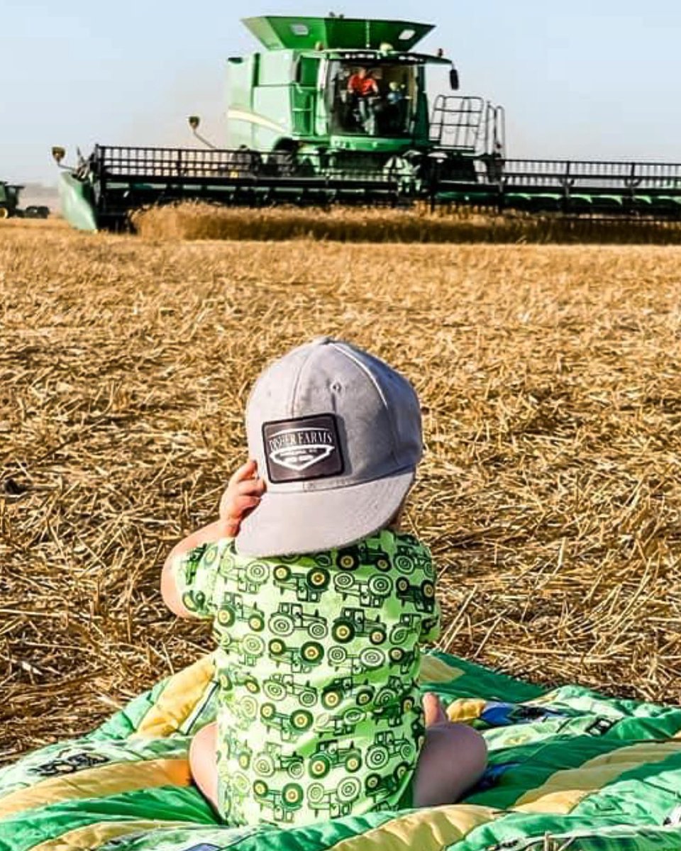 lex_disher's tweet photo. Baby brother watching dad and big brother combine some @CROPLANseed wheat! 

@JohnDeere https://t.co/kc1mIzbbml