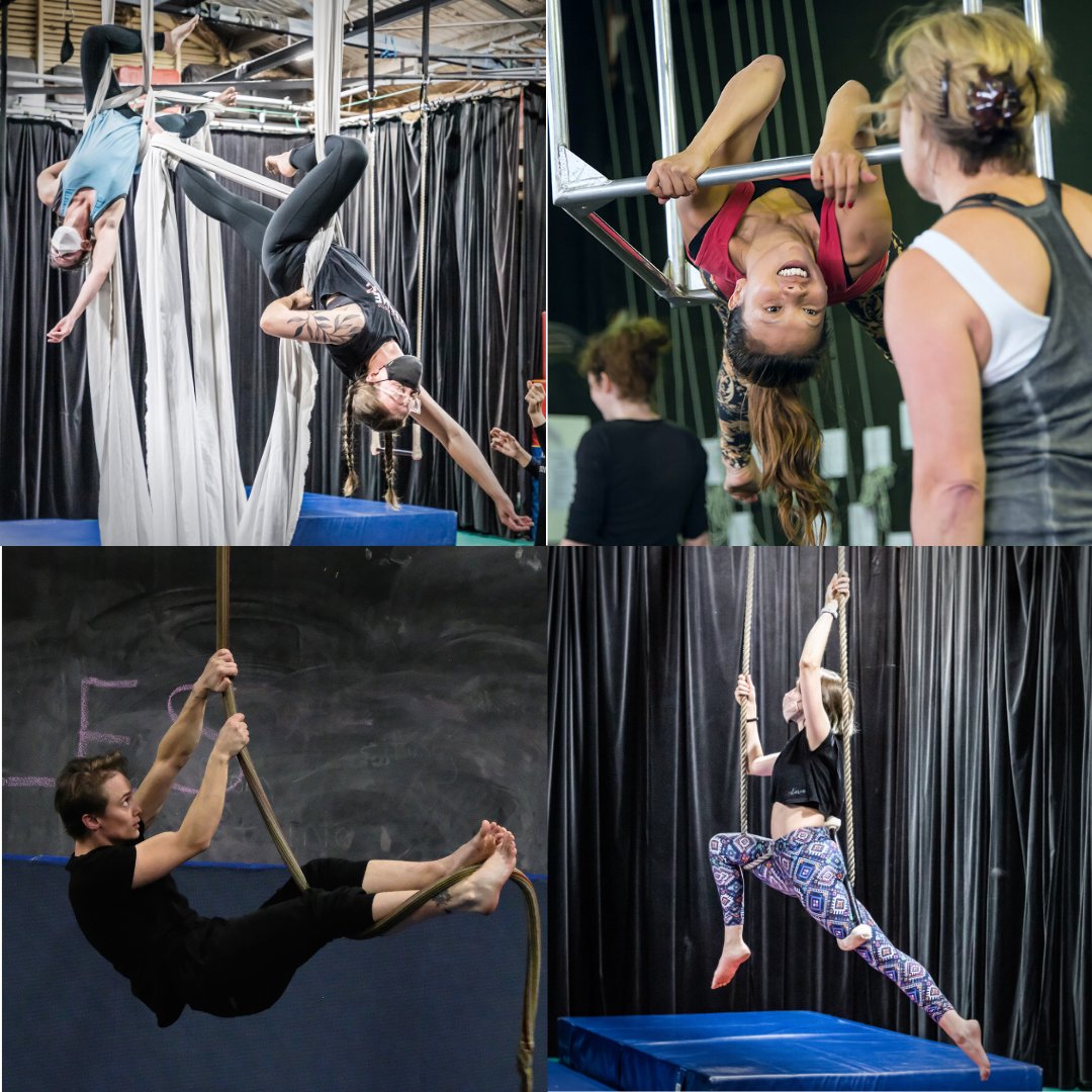 WomensCircus's tweet photo. 🎪BOOK NOW FOR OUR AERIAL TEST DRIVE! Your chance to check out our wide range of aerial equipment and learn new skills with zero commitment. Suitable for absolute beginners. Saturday 24 September. Book now: https://t.co/czj9x79AVg

#WomensCircus #Aerials #Circus https://t.co/fBLSJP2Awp
