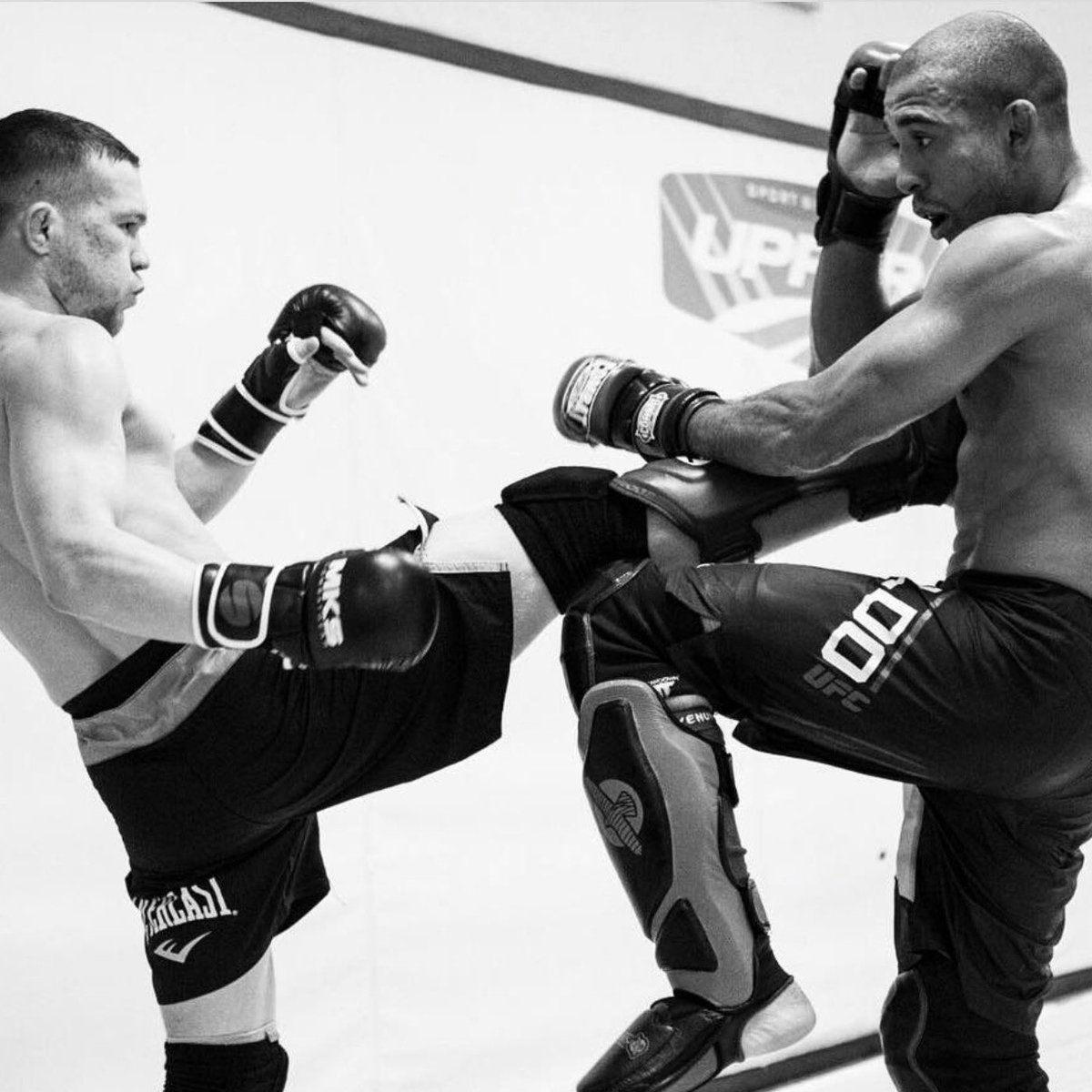 MMAFANATIC__'s tweet photo. The two best Bantamweights on the planet . https://t.co/yXTqCvyrLn