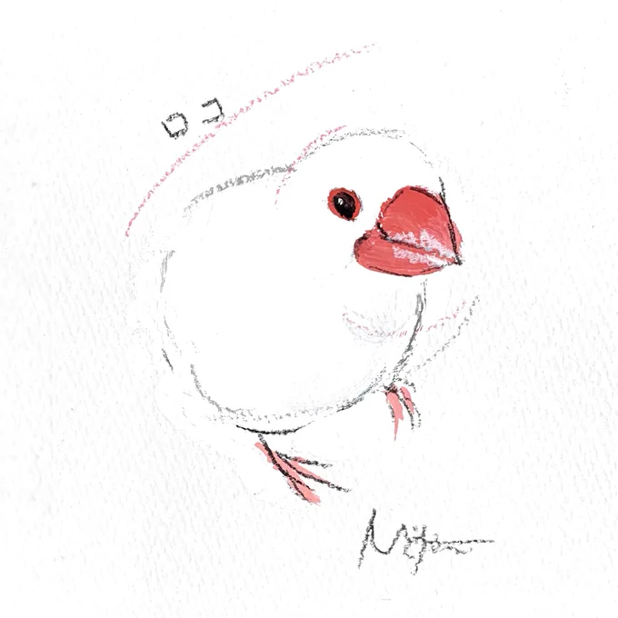 #小鳥のアートフェスタ in横浜オーダーイラストのご紹介、白文鳥さんです。残すところ2日となりました。本日もよろしくお願いします。(最終日は午後5時閉場です 