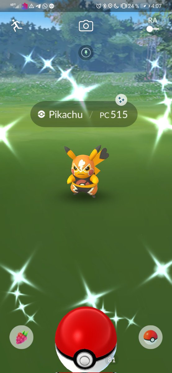 goldenRoyb's tweet photo. Bonita forma de cerrar la temporada, mi 2do pika libre shiny 🤩🥰
#PokemonGO #GBL #shiny https://t.co/pqGfRYWVM7