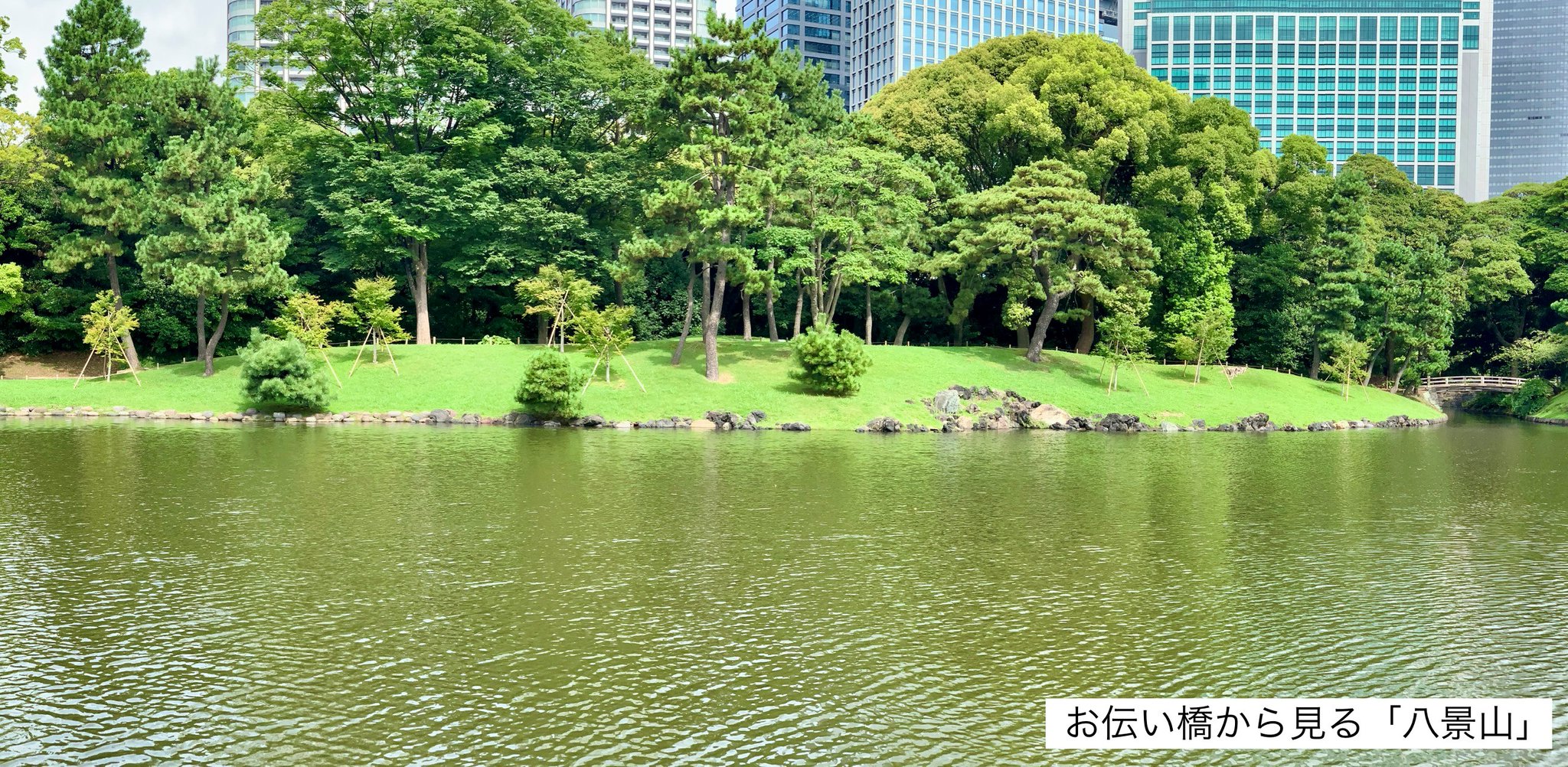 浜離宮恩賜庭園 東京都 の情報 ウォーカープラス