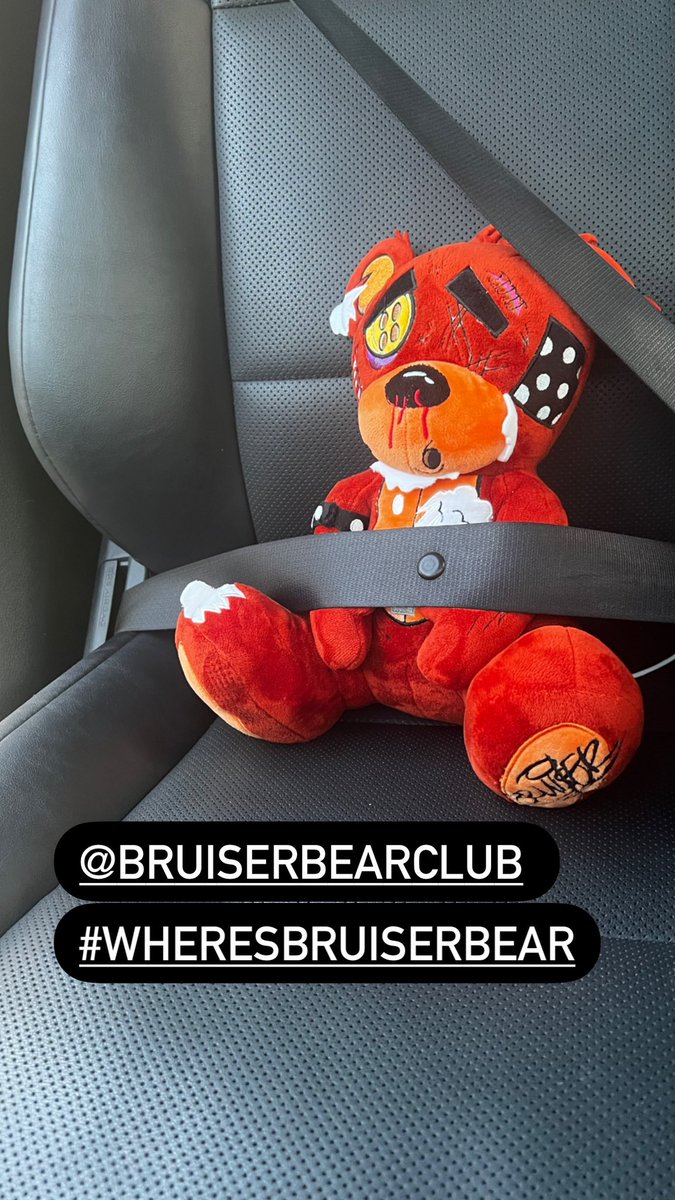 BeeSmithJ's tweet photo. #wheresbruiserbear https://t.co/7x5tWTWtOF
