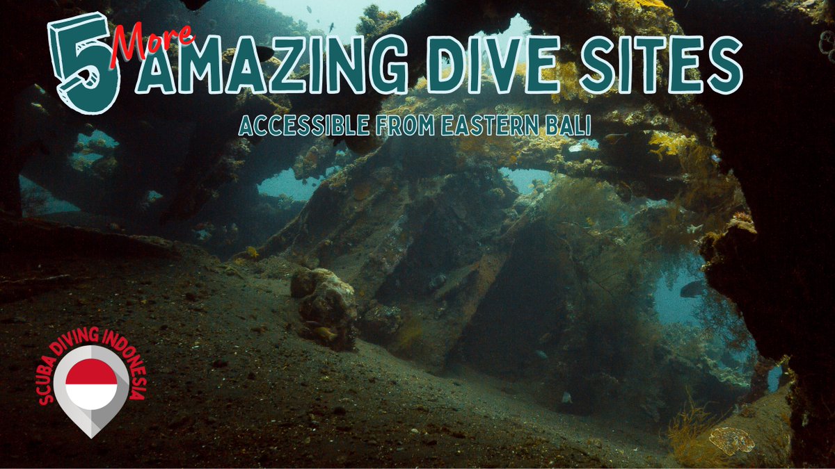 DivingandDogs's tweet photo. Scuba Diving Padangbai and The USAT Liberty Wreck at Tulamben.
Scuba Diving Bali - Chapter 2: Padangbai &amp; Tulamben https://t.co/SgYFkCRWpZ via @YouTube 

#Bali #Indonesia #Scuba #Diving #scubadiving #LibertyWreck #wreckdiving #USATLiberty #DiveGuide #Tulamben #Padangbai https://t.co/oWKMxRbuMN