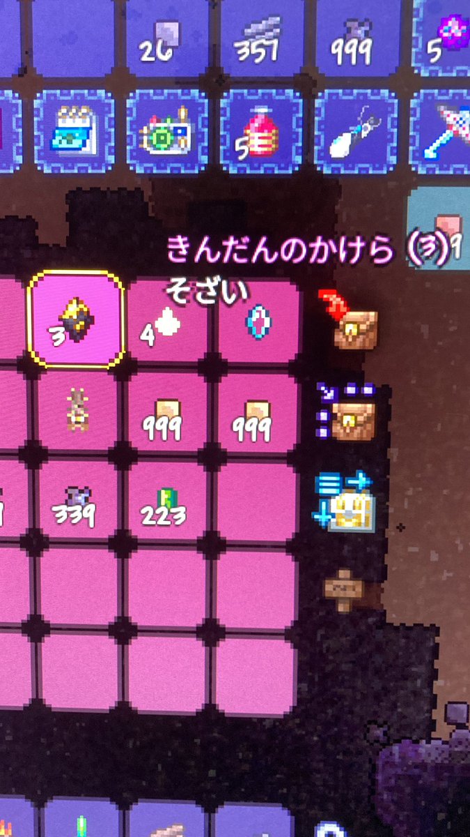 なんか拾った
なかなかソソられる名前
ガイドに聞いてみよう

 #テラリア