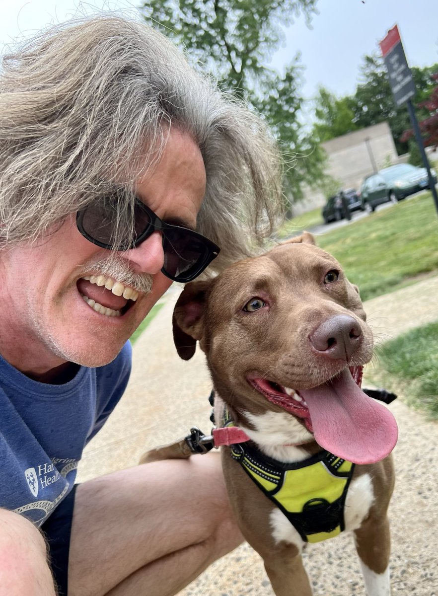 UnionMatt's tweet photo. @therunchat @NitaSweeney A3: late to this week’s #RunChat but had to answer this q since @NitaSweeney suggested it: yes! In cooler weather #ScoutTheSweetie is my regular #RunBuddy. @therunchat https://t.co/8TXPcrgTn6