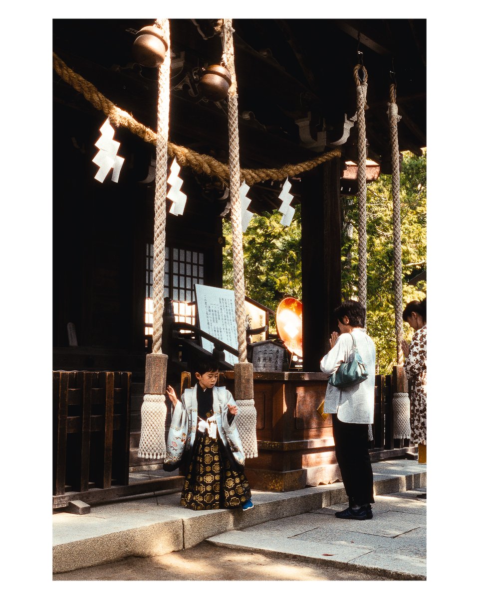 Tahakaro's tweet photo. Location: Kofu, Takeda Shrine, Japan.
Camera Sony a57
Style: Fujifilm Color
#streetphotography #streetclassics #SonyAlpha #cinematography #ourstreets #cinegrams #madewithlightroom #focusjp #streetgrammers #japan #igersjp #tokyo #yamanashi #山梨 #streetshootjapan https://t.co/jUzd640SBQ