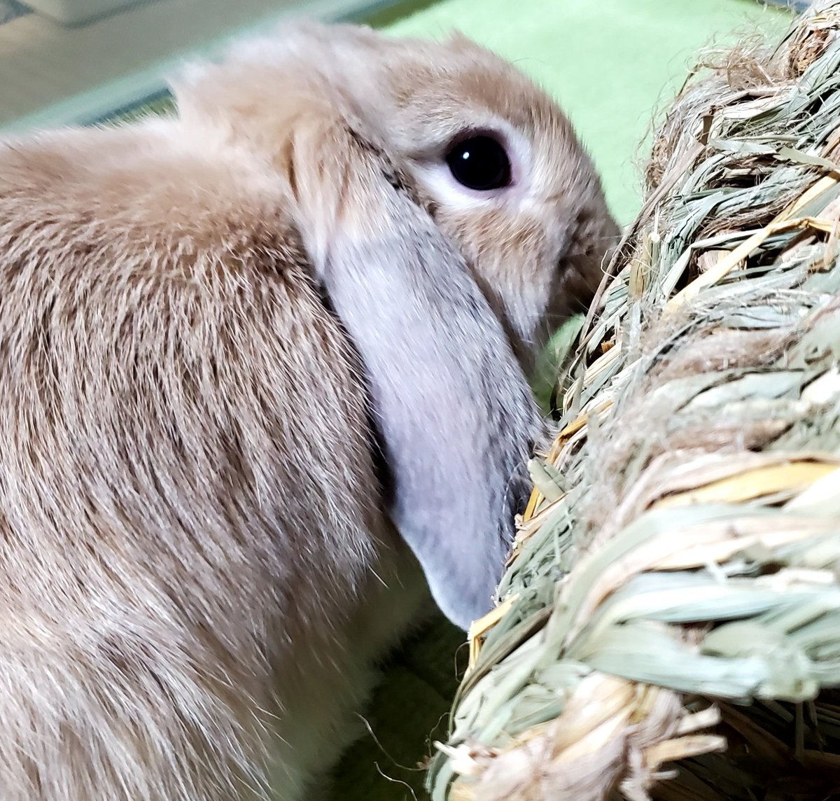 N あなたがいつも笑顔でありますように Lafoi331 Twitter