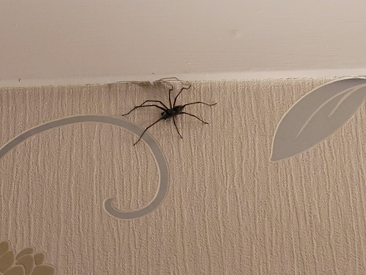 Well that's me moving house then