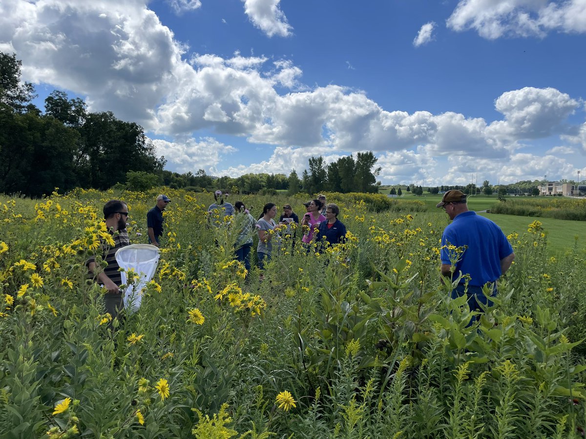 .<a href="/UpperIowa/">UpperIowa</a> hosted a workshop put on by <a href="/USFWS/">U.S. Fish and Wildlife Service</a> <a href="/iowadnr/">Iowa DNR</a> and <a href="/IowaNRCS/">NRCS_Iowa</a> about #rustypatchedbumblebee ID, phenology, &amp; habitat. Ended up with 6 Bombus spp including fed endangered RPBB! UIU’s restored prairies are doing what they’re supposed to!
