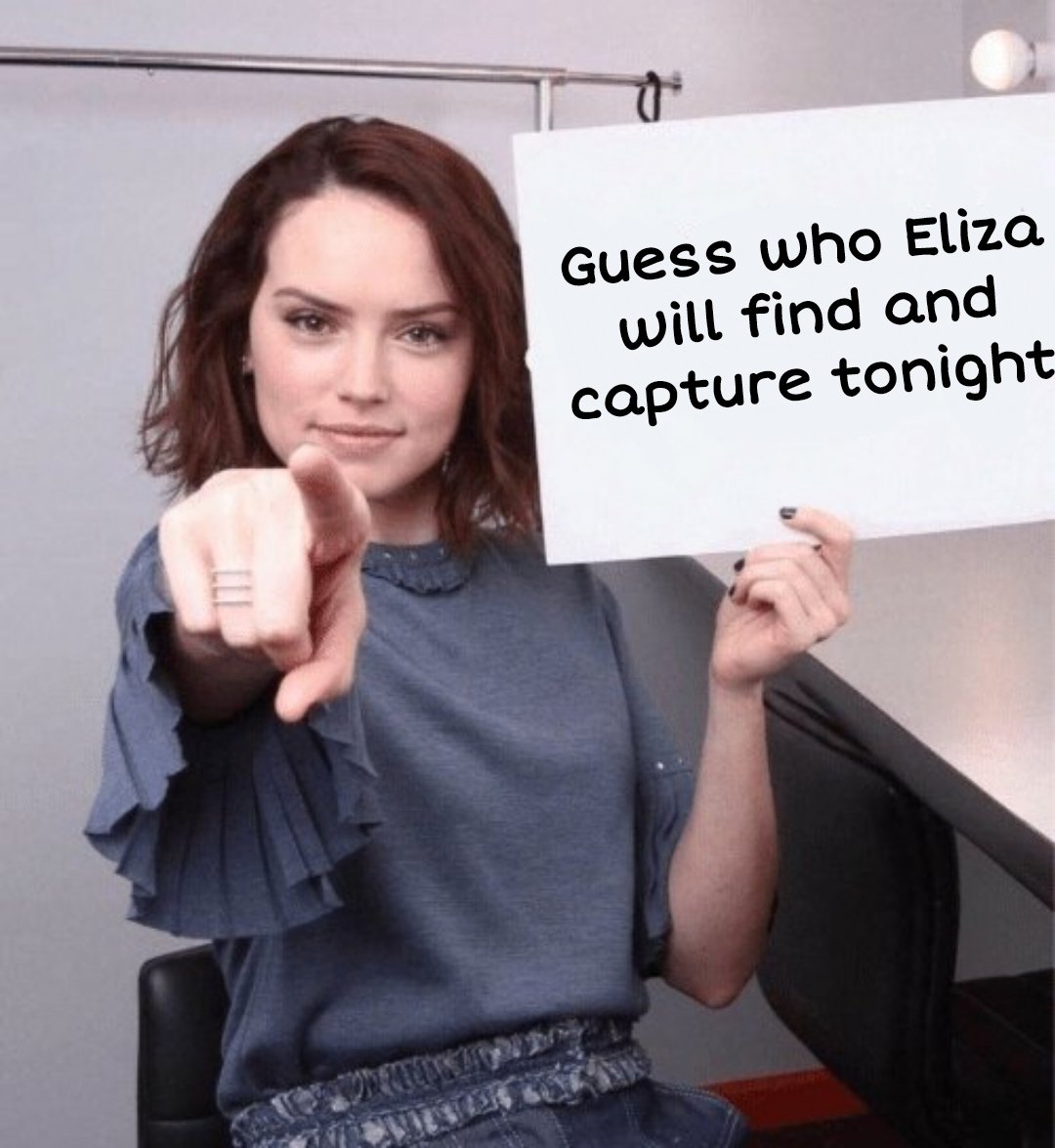Goddess_Eliza_'s tweet image. 🤫
