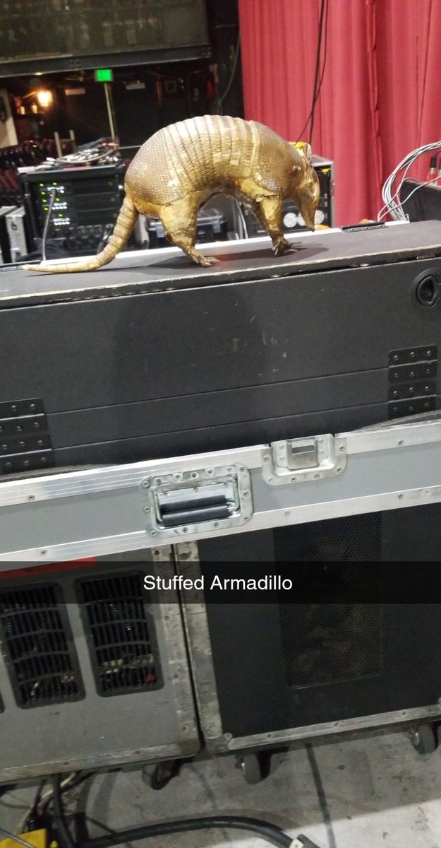 forkop69's tweet photo. Willie Nelson's guitar, the stuffed armadillo he travels with and a pick one of the guys on his crew gave me. https://t.co/MDasDntggv
