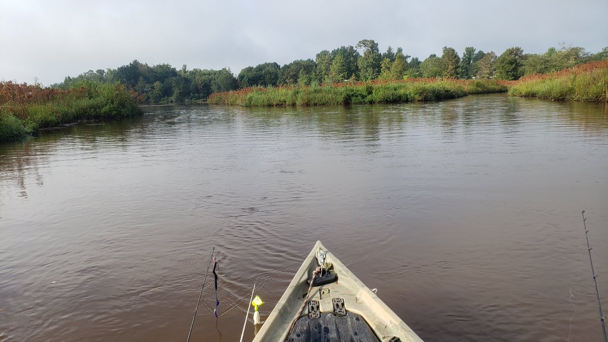 JayHookTwitch's tweet photo. Go explore Alabama. #bassfishing #fishalabama #nucanoe https://t.co/ESH1Dw2MYk