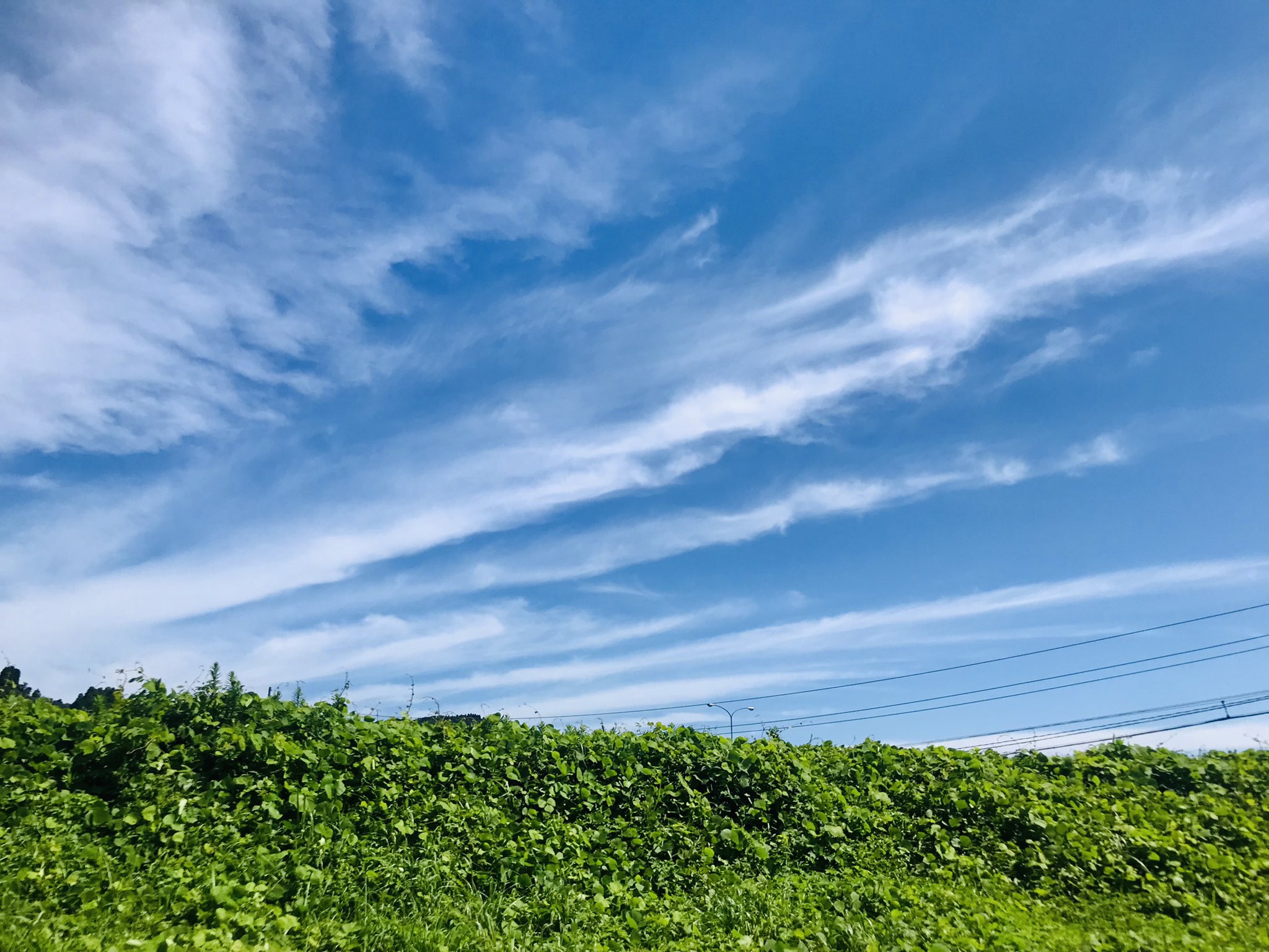 天然温泉 風の森 Kaze No Mori Twitter