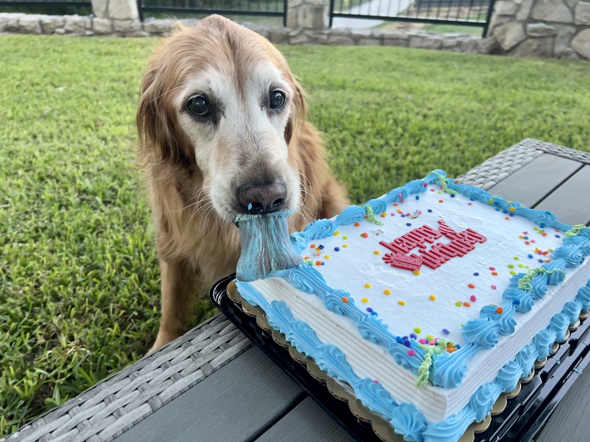 BalancingBeans's tweet photo. Happy 13th Birthday to Beans! https://t.co/RowUNv76CW