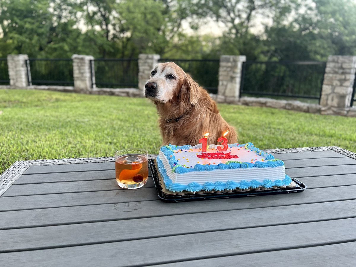 BalancingBeans's tweet photo. Happy 13th Birthday to Beans! https://t.co/RowUNv76CW