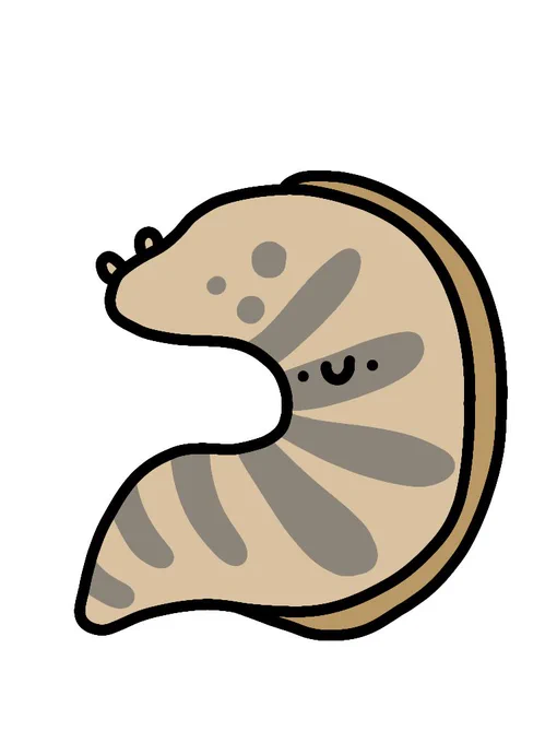 アミウツボ 
