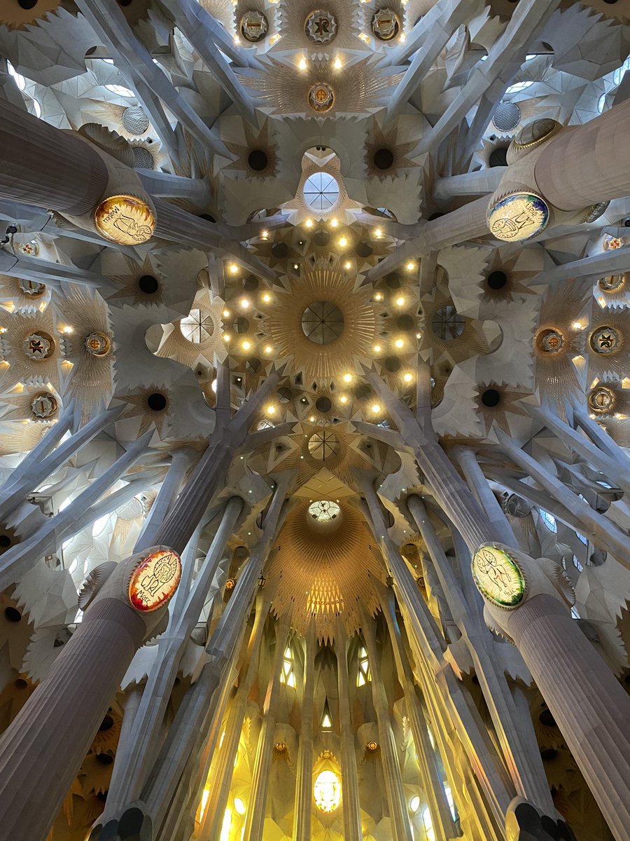 “Everything the light touches.. belongs to someone else.”
-Timon Mom

#SagradaFamilia