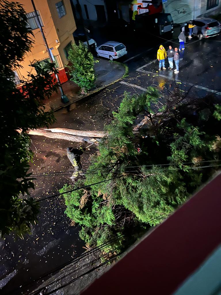 S.O.S. Lindavista Manos Unidas, AC tweet media